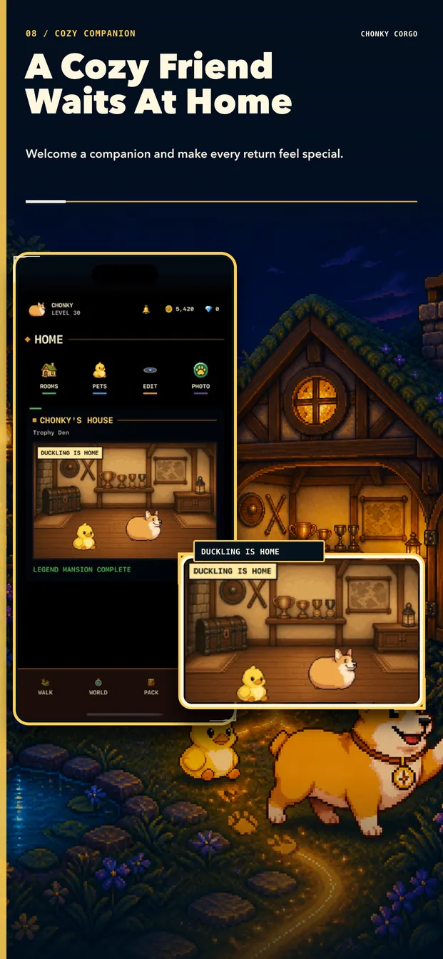 A Cozy Friend Waits At Home: a pet waiting in Chonky's house